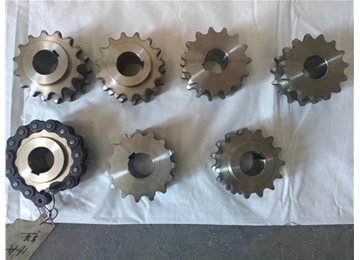 16A  雙驅(qū) 不銹鋼鏈輪